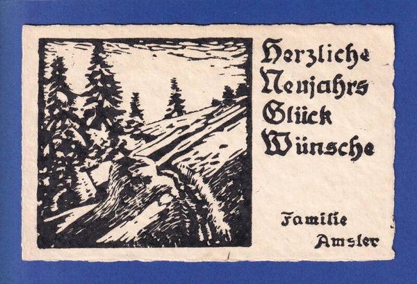 NEUJAHR - Kunstkarte - Familie Amsler - 1933