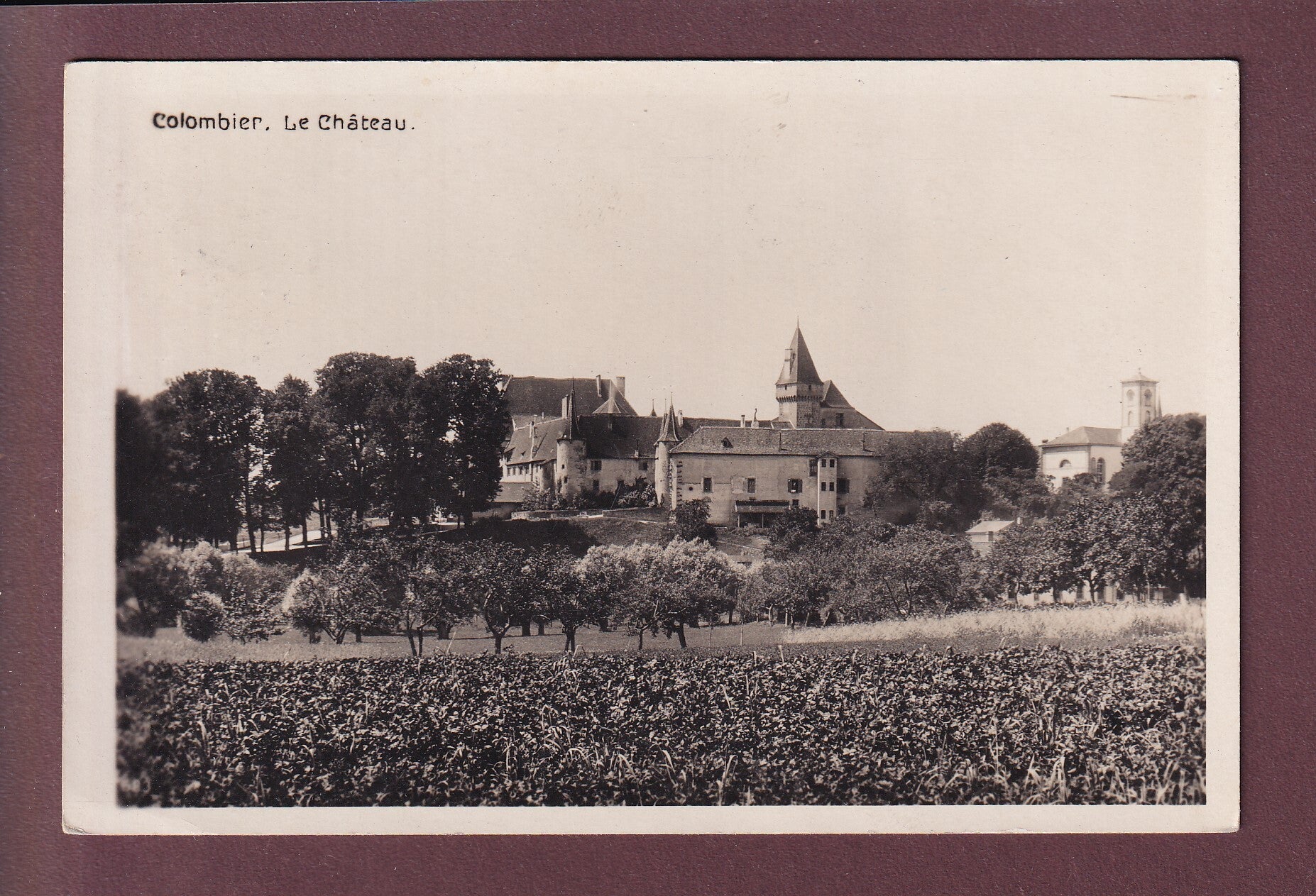 COLOMBIER - Partie avec le Château - 1931