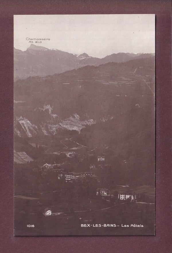 BEX - Les Hôtels - Chamossaire