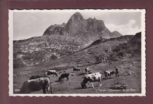 Plateau d'EMOSSON - Vaches - Les Perrons - 1941