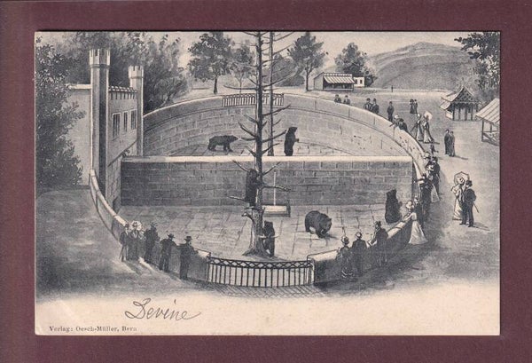 BERN - Bärengraben - 1903