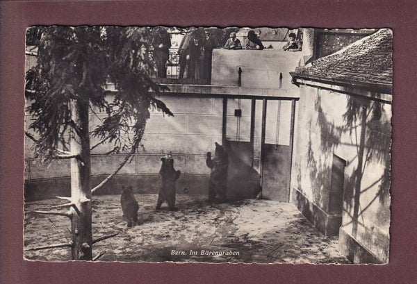BERN - Bärengraben - 1941