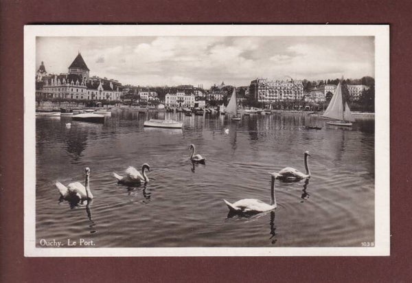 LAUSANNE - Port d'Ouchy - Les Cygnes - 1931