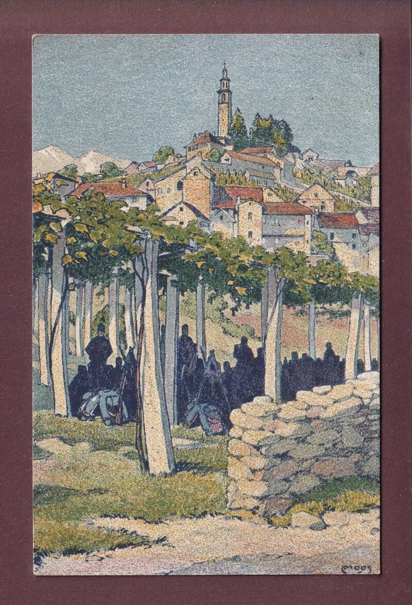 Pergolato nel TICINO Meridionale - 1916 // voir dos //