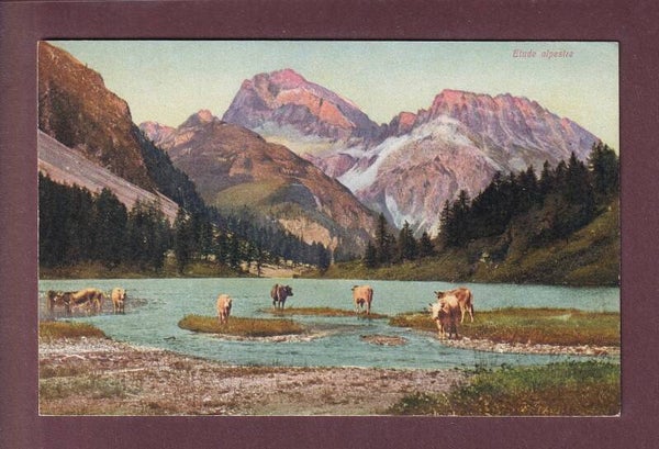 ETUDE ALPESTRE aux Grisons