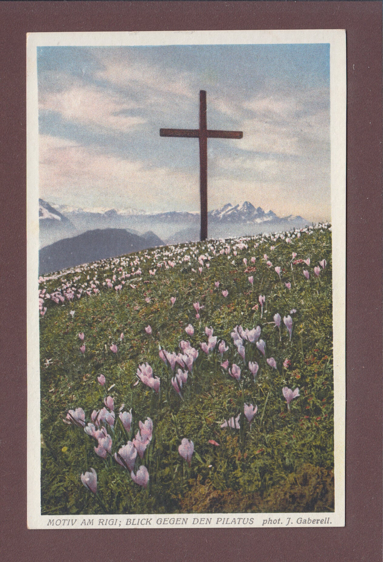 Motiv am RIGI - Krokus - Pilatus - 1938