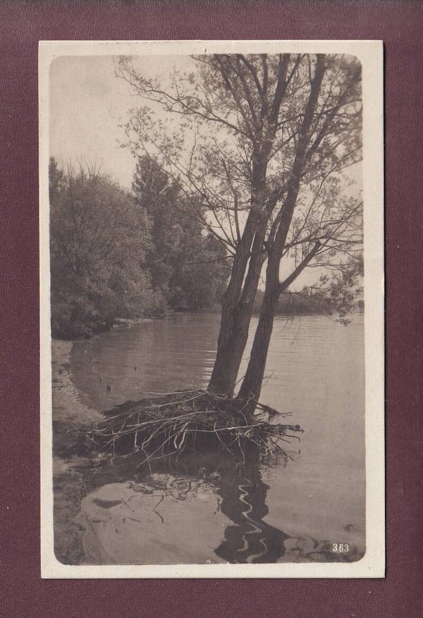 Photo - Stempel BIEL - 1909 // kleine Löcher //