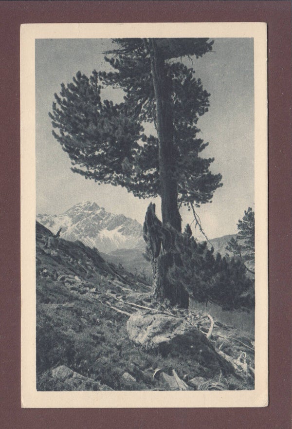Nationalpark - SCARLGEBIET