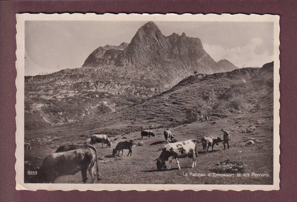Plateau d'EMOSSON - Vaches - Les Perrons - 1935