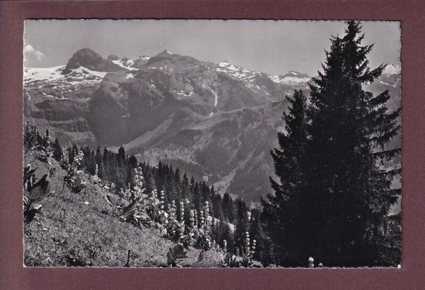 Gasthaus BÜHLBERG ob Lenk - 1968