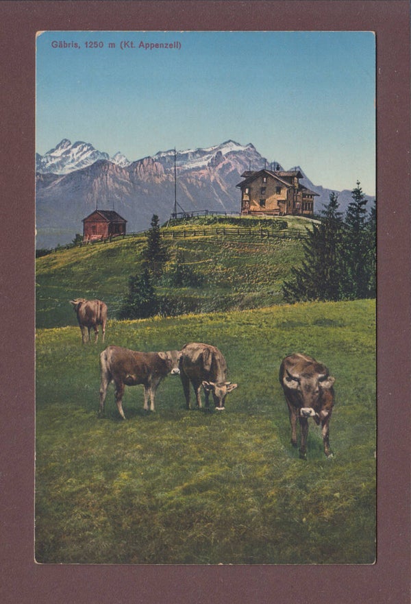 GÄBRIS - Kühe - 1919