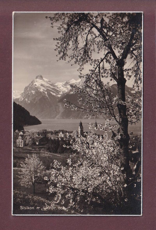 SISIKON - Urirotstock - Frühling