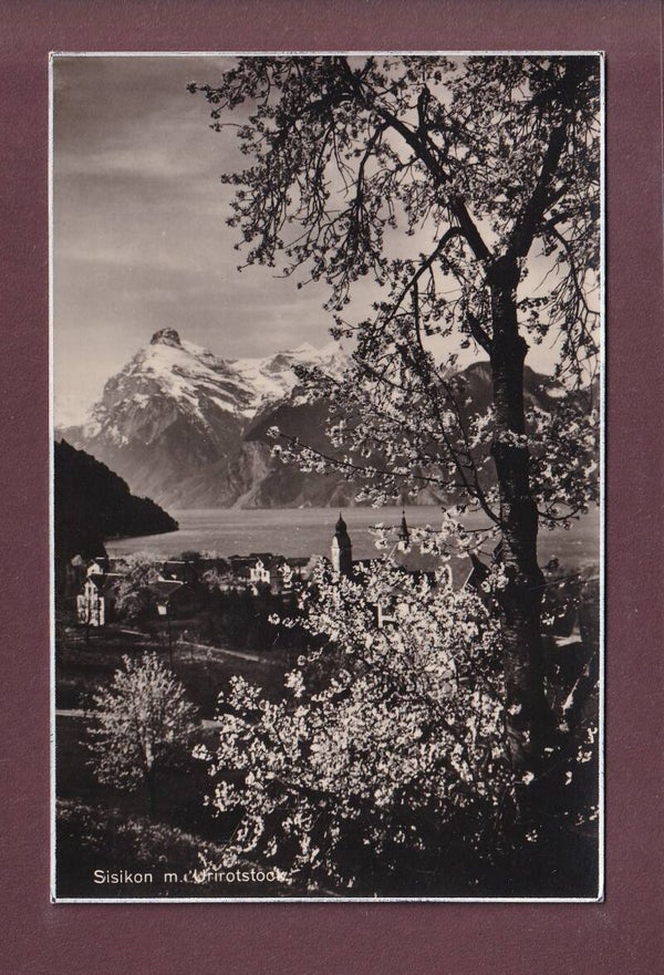 SISIKON - Urirotstock - Frühling