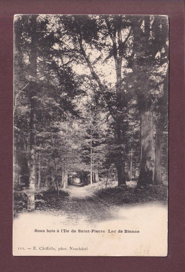 Lac de Bienne - ILE ST. PIERRE - Sous-Bois