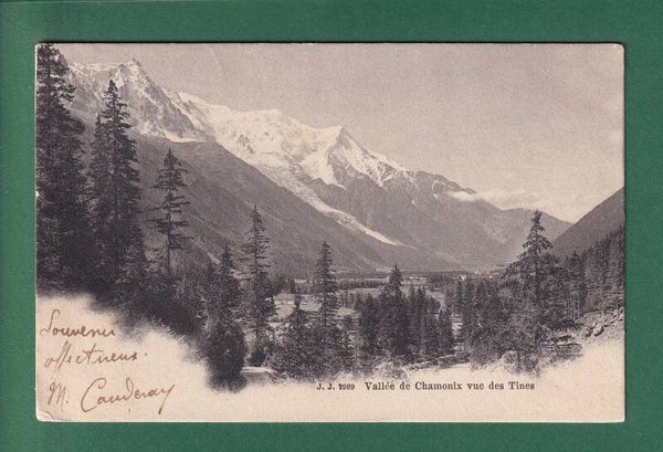 Vallée de Chamonix vue des TINES - 1903