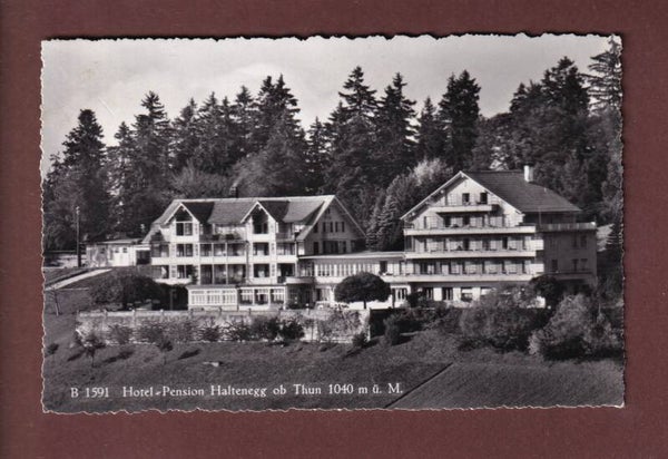 THUN - Hotel-Pension Haltenegg - 1966