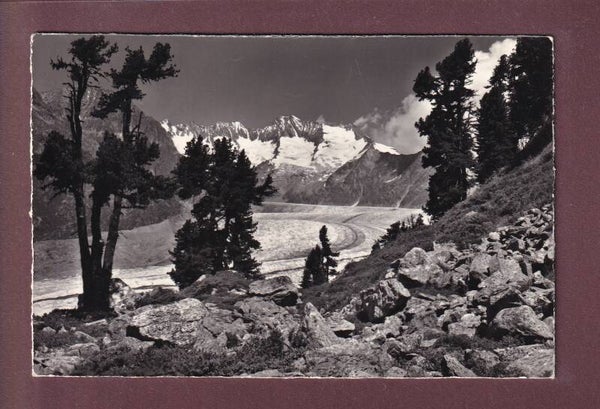 ALETSCHGLETSCHER bei Riederalp - 1970