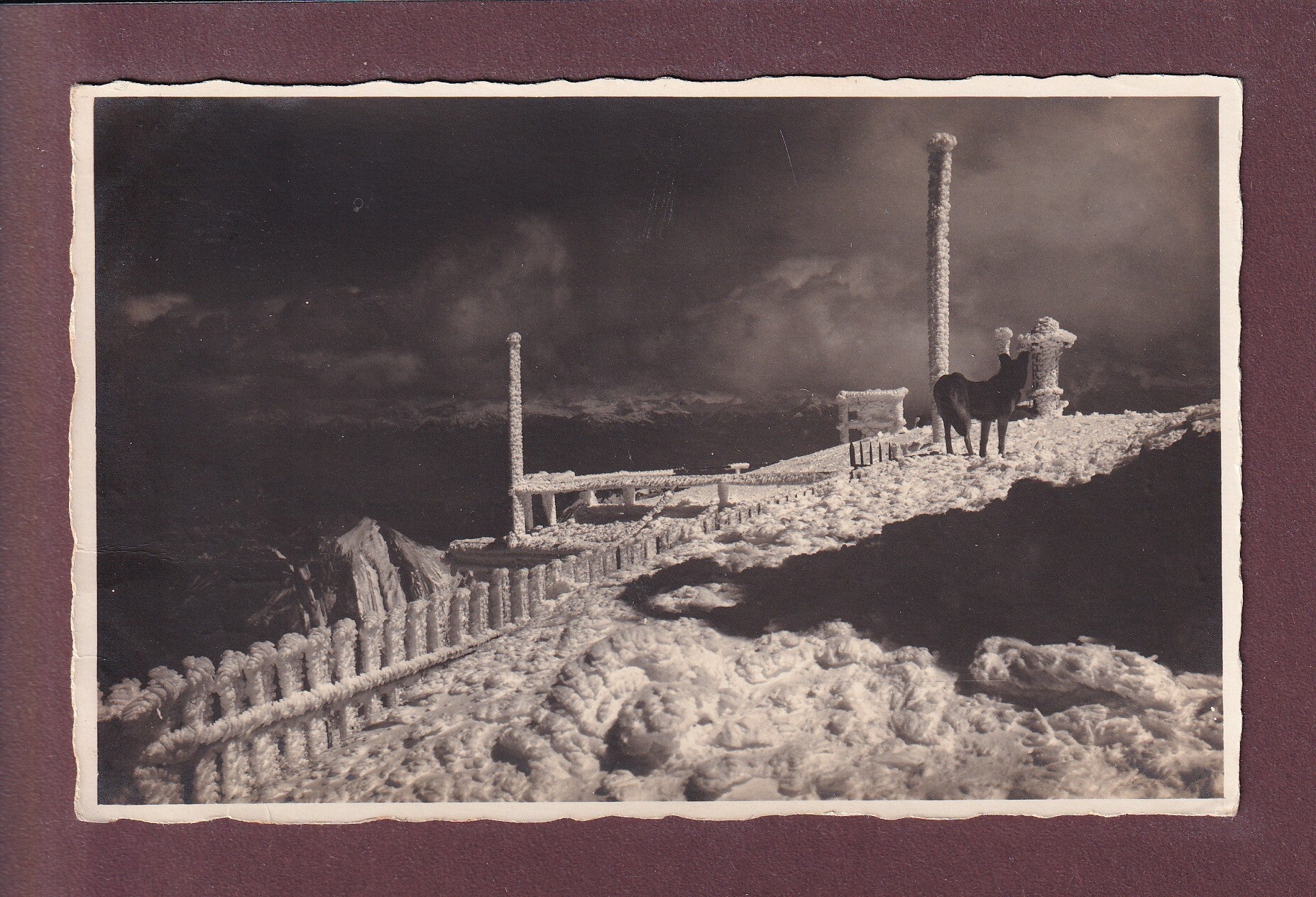 Hund am gefrorenes SÄNTIS - 1924
