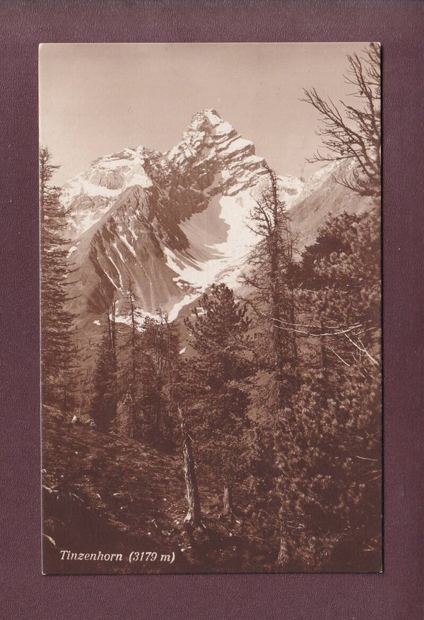 TINZENHORN - 1921
