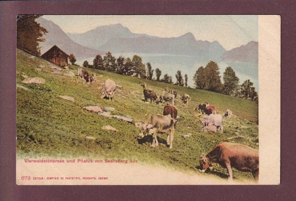 SEELISBERG - Kühe - CPN - Chocolats Ribet // Eckbug //