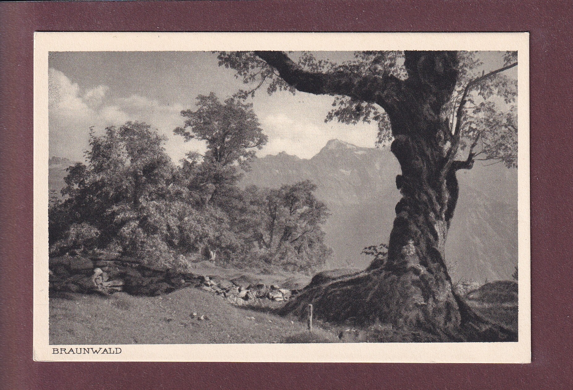 Bei BRAUNWALD