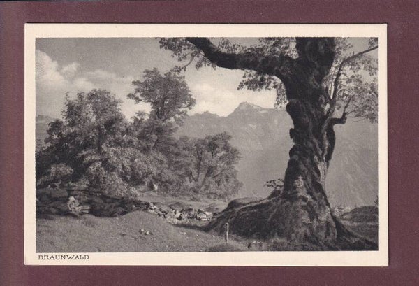 Bei BRAUNWALD