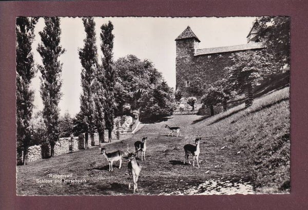 RAPPERSWIL - Schloss - Hirschpark