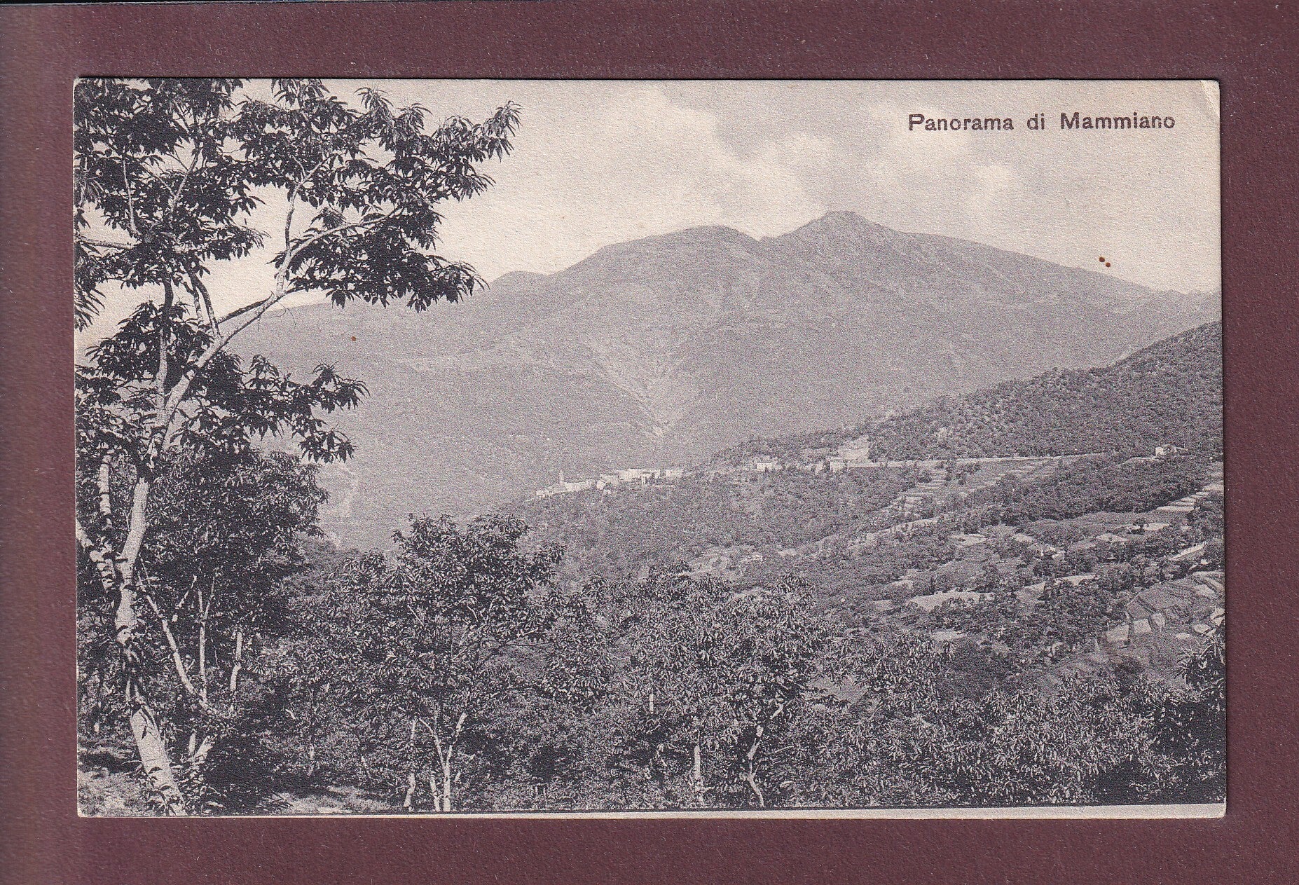 Panorama di MAMMIANO