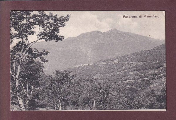 Panorama di MAMMIANO