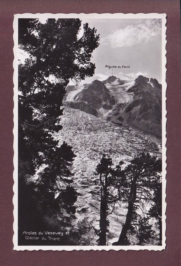 AROLES DU VESEVAY - Glacier du Trient