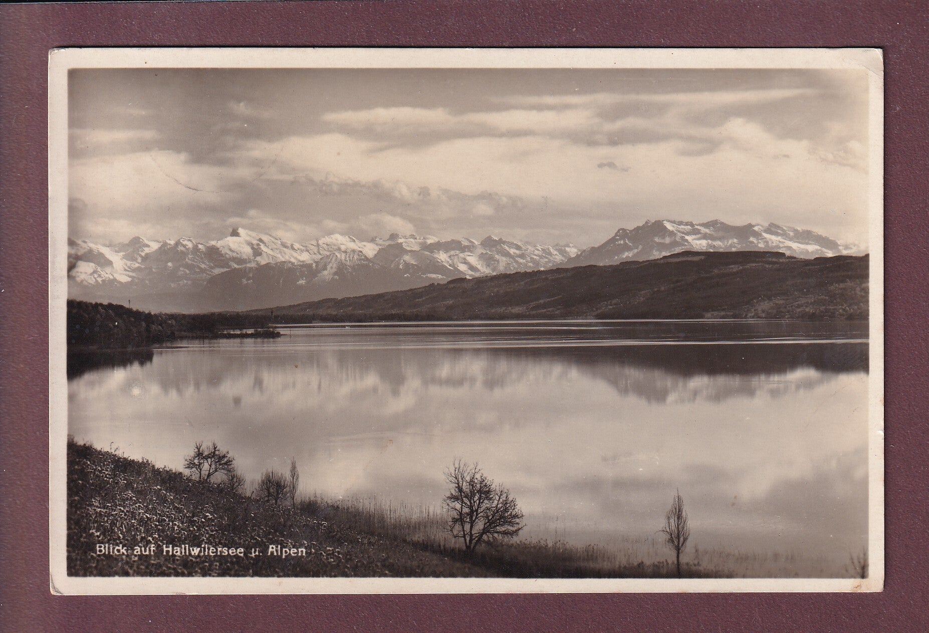 Blick auf HALLWILERSEE - 1931
