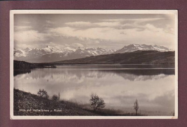 Blick auf HALLWILERSEE - 1931