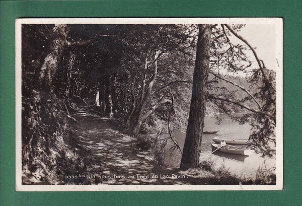 LAC PAVIN - Un Sous-Bois - 1935