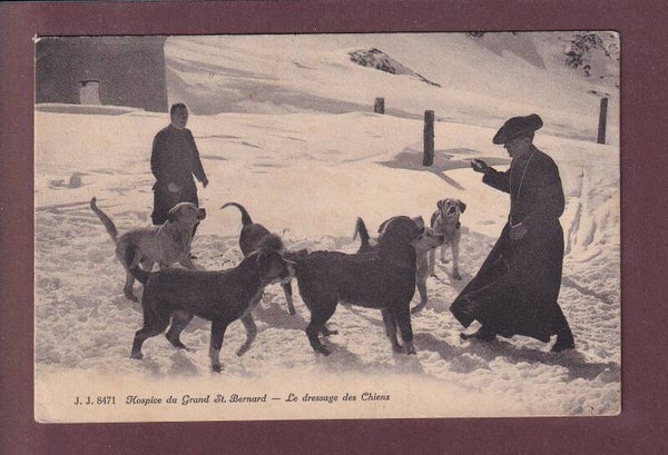 Hospice du GRAND-SAINT-BERNARD - Dressage - 1912