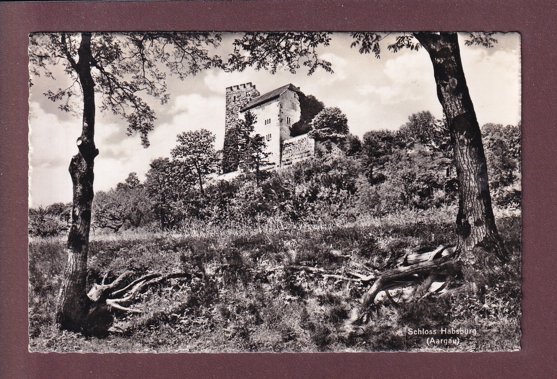 SCHLOSS HABSBURG - 1953