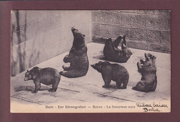 BERN - Bärengraben - 1917