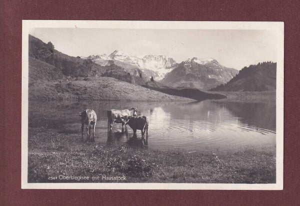 OBERBLEGISEE - Hausstock - Kühe - 1927