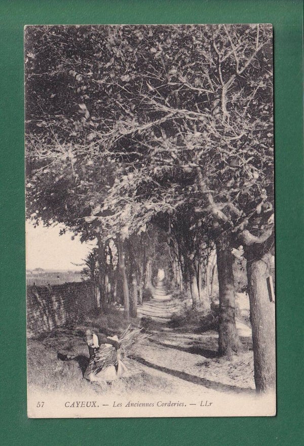 CAYEUX - Anciennes Corderies - 1911