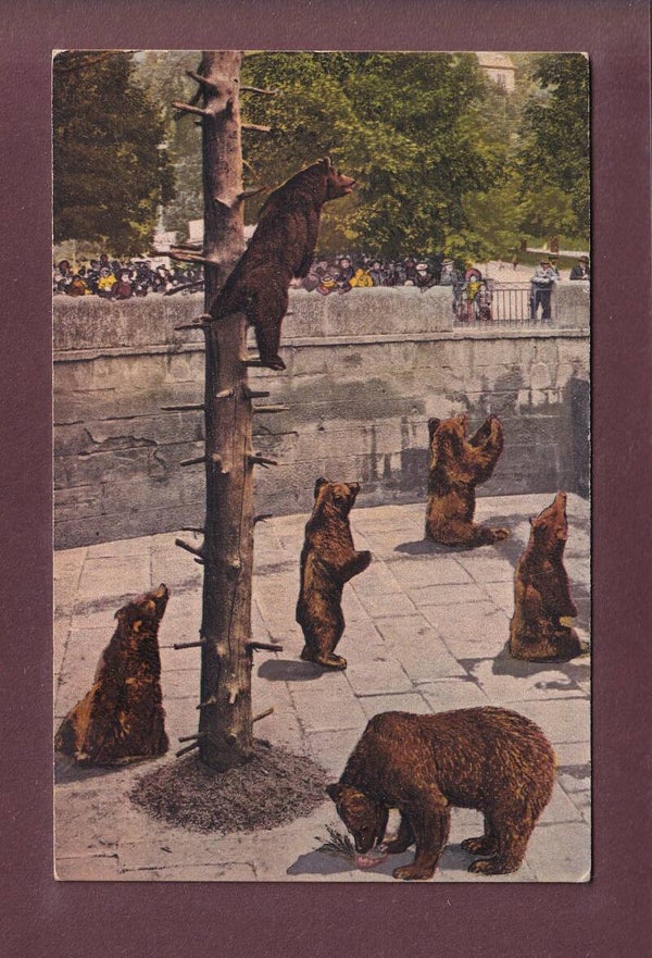 BERN - Bärengraben - 1921