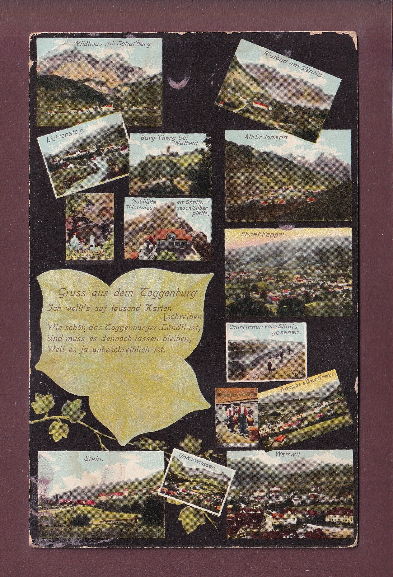 Gruss aus dem TOGGENBURG - 1909 // Eckbug //