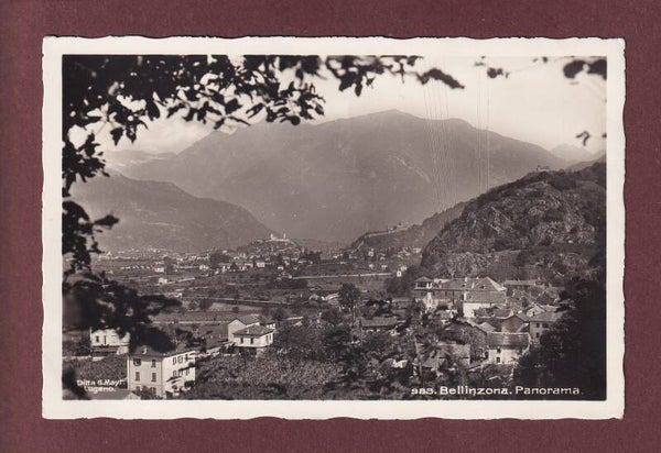 BELLINZONA - Panorama