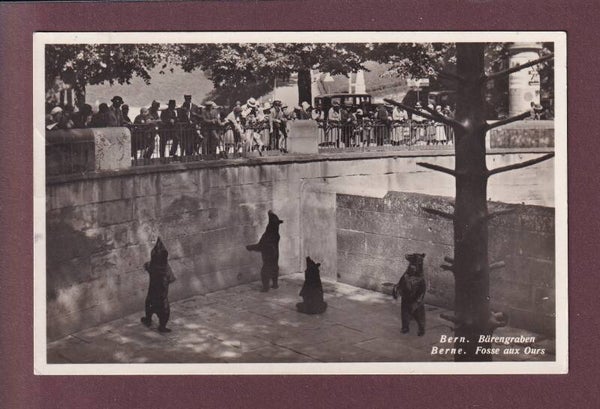 BERN - Bärengraben - 1930