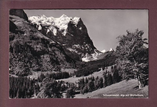 SCHWARZWALDALP - Wetterhorn - 1959
