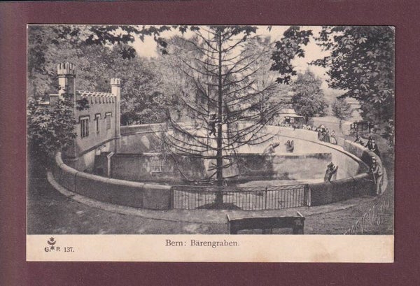 BERN - Bärengraben - 1904