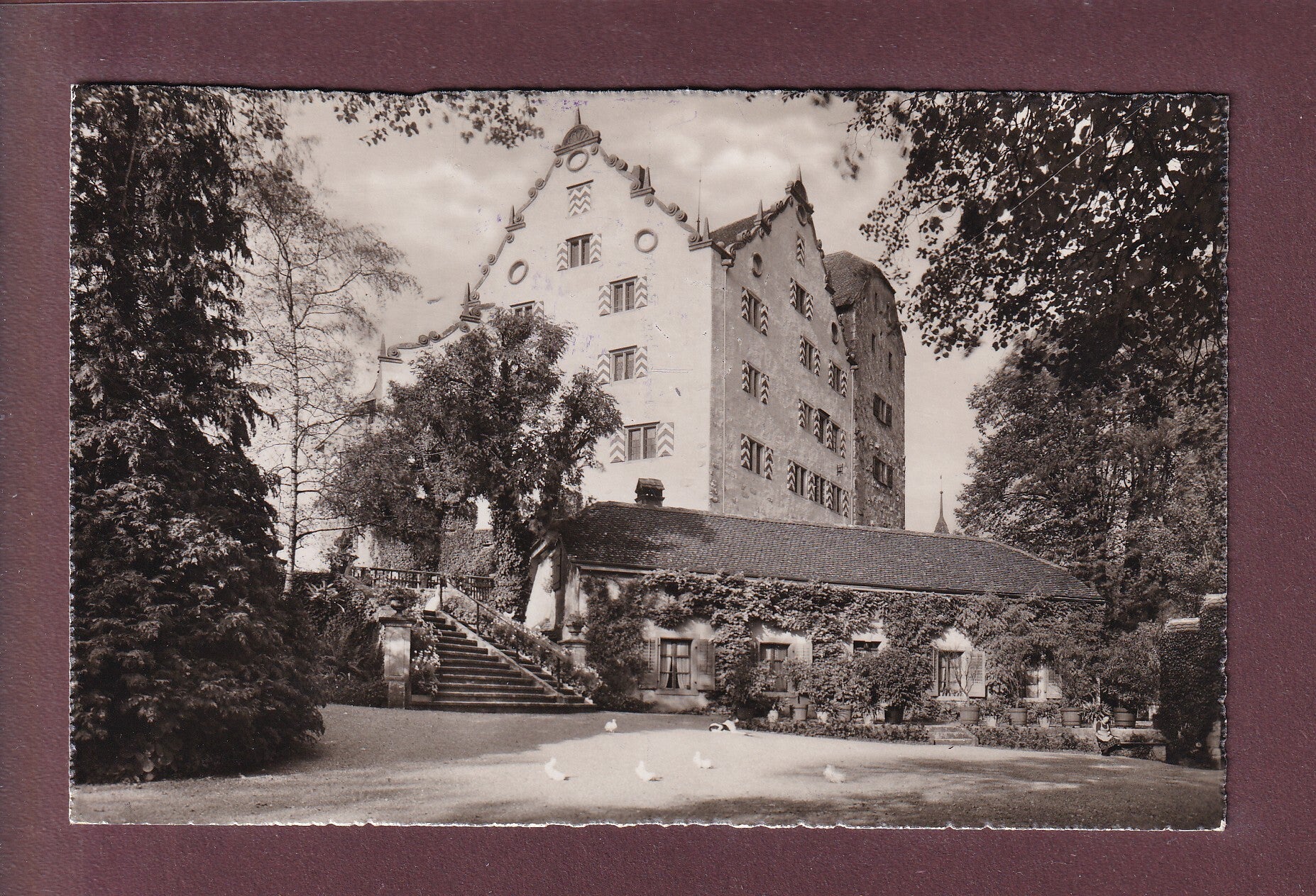 SCHLOSS WILDEGG - Burghof