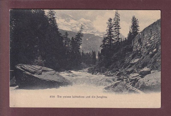 Weisse LÜTSCHINE - Jungfrau