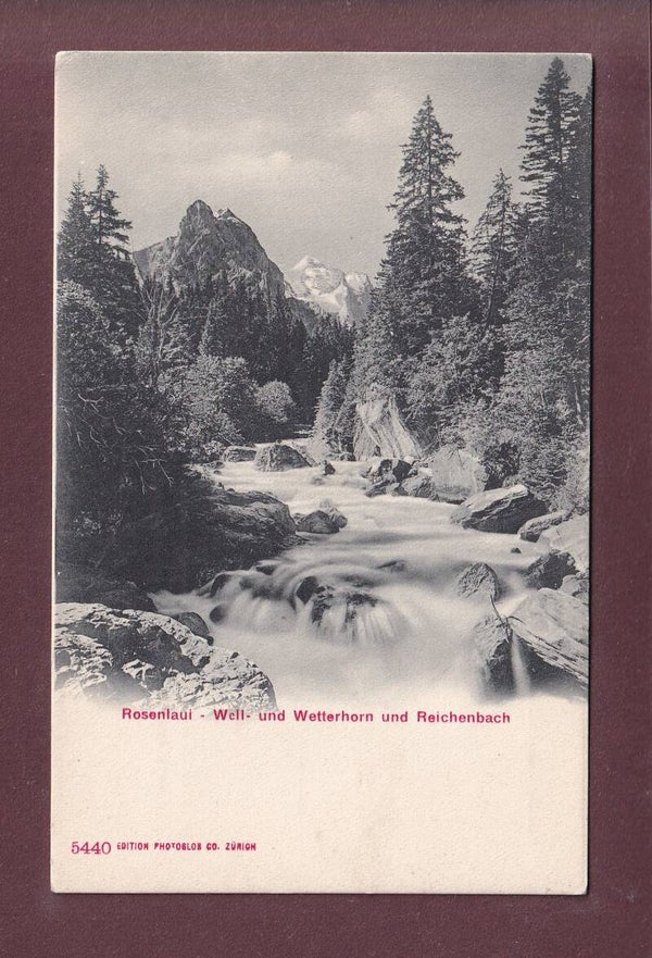 ROSENLAUI - Reichenbach
