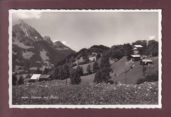 SAANEN mit Rübli - 1939