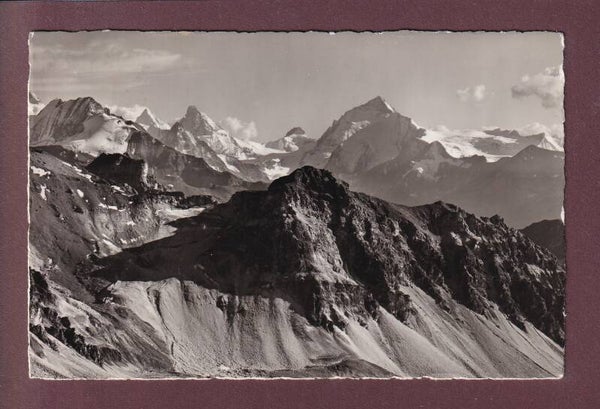BELLA TOLA - 1951