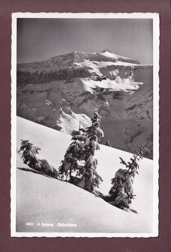 A Isenau - OLDENHORN - 1958